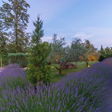 Villa Kate Istria Zminj Luaran gambar