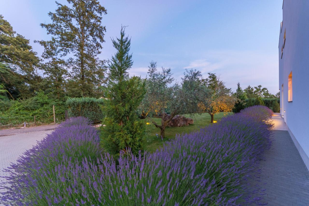 Villa Kate Istria Zminj Luaran gambar